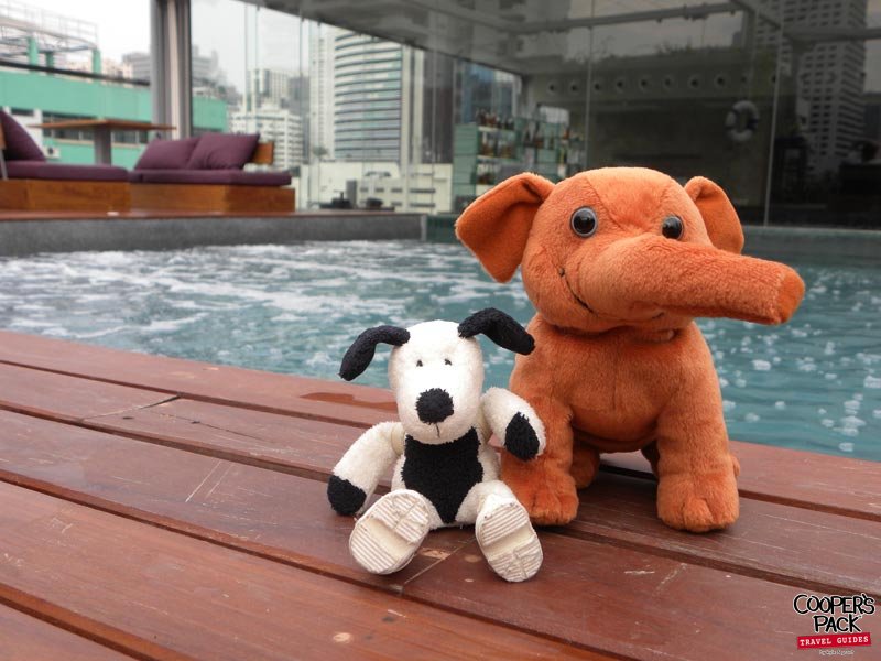cooper-bangkok-rooftop-swimming-pool