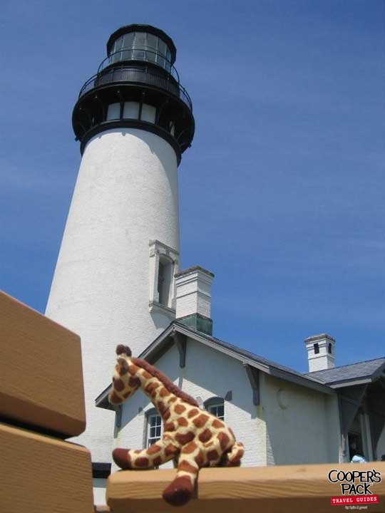 Giraffey_Newport-OR