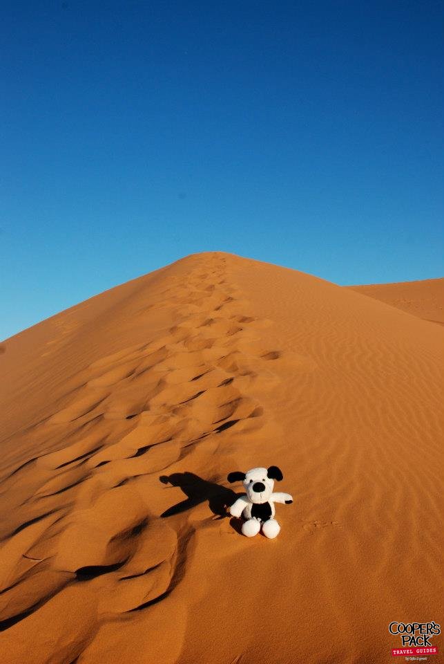 CoopersPack-Morocco-Sahara-Desert-02